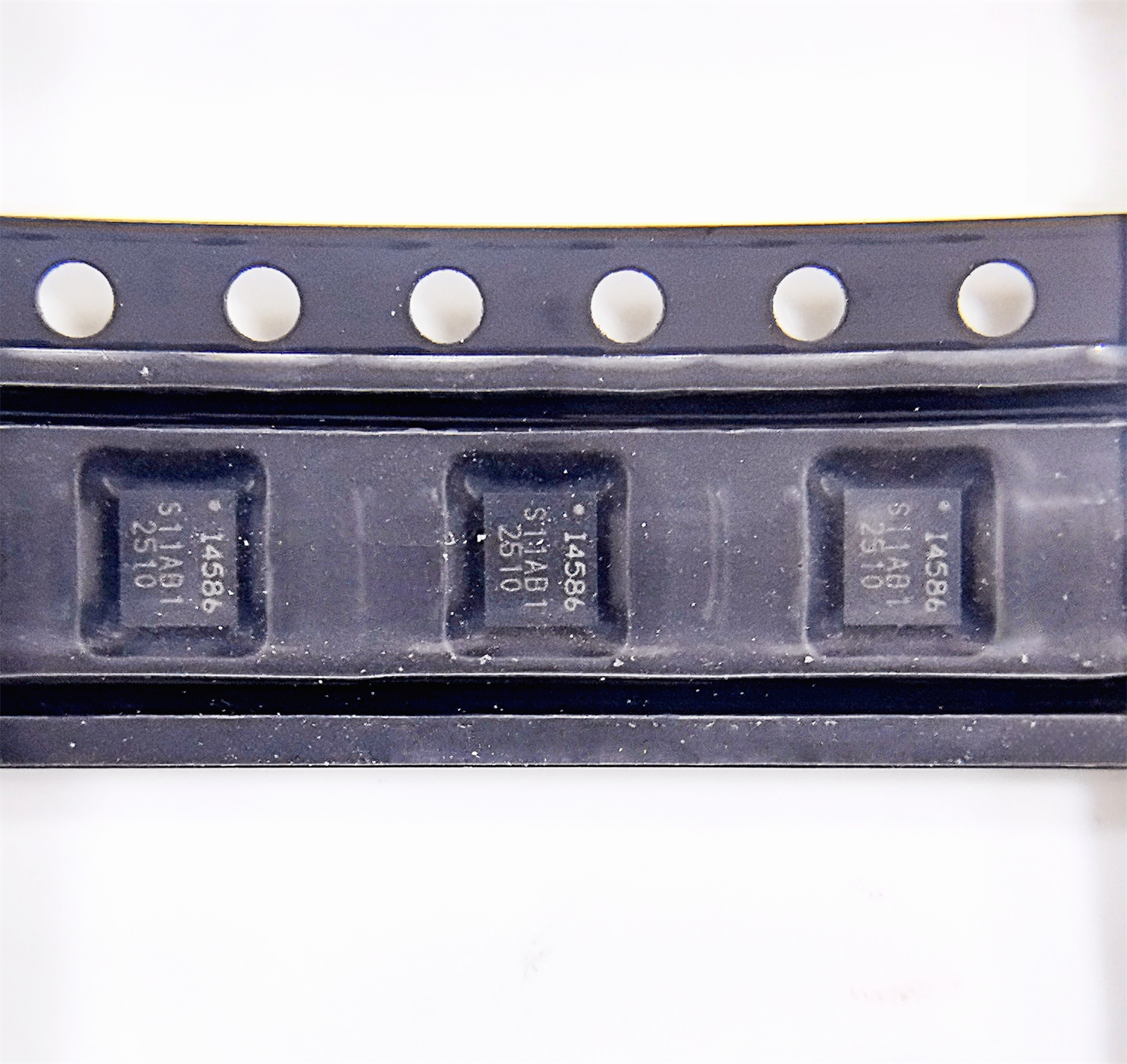 ICM-45686